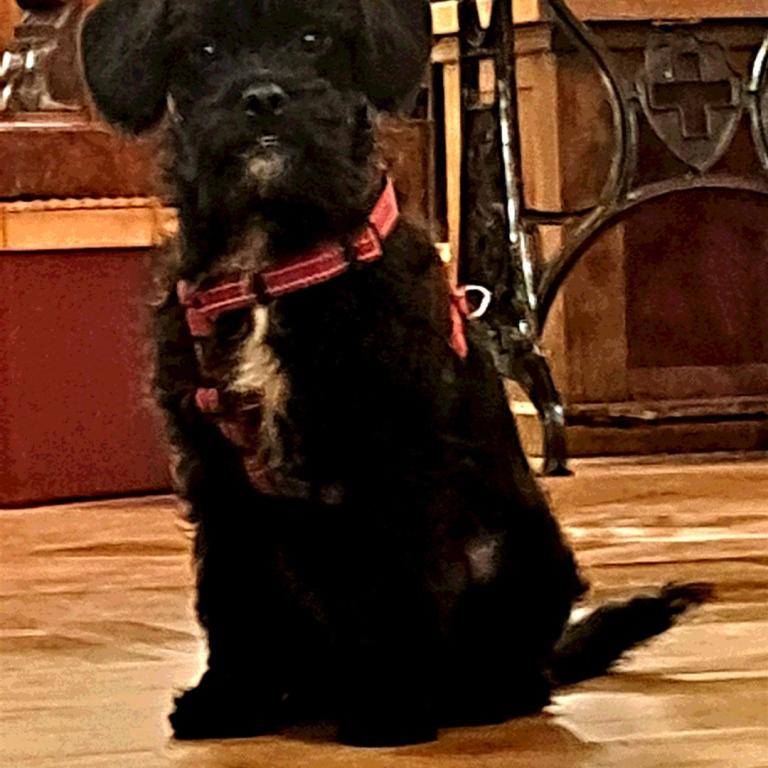 pipo im Nähmaschinen-Museum